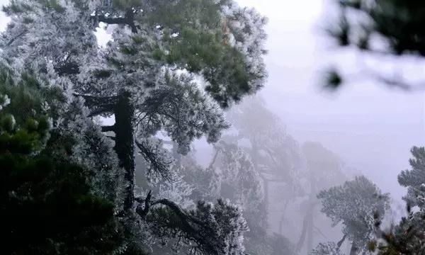 探索